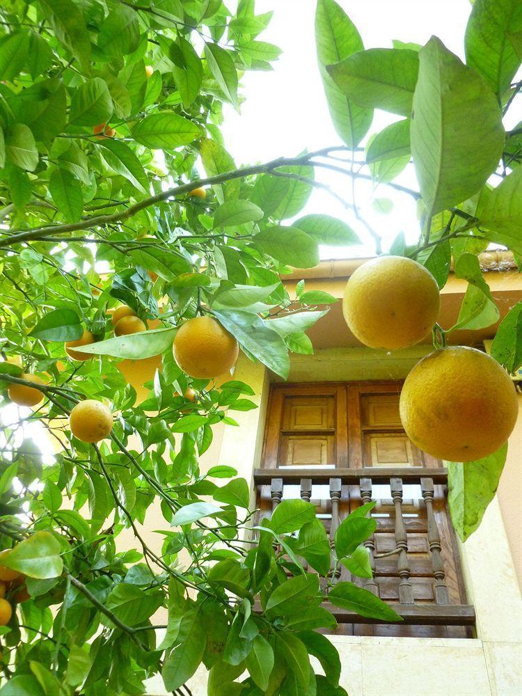 Hotel Rural La Balconada Oviedo Dış mekan fotoğraf